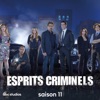 Télécharger Esprits criminels, Saison 11 (VF)