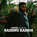 Télécharger Power Book III: Raising Kanan, Season 1