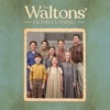 Télécharger The Waltons: Homecoming (2021)