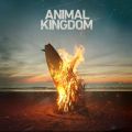 Télécharger Animal Kingdom, Seasons 1-6