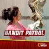 Télécharger Bandit Patrol, Season 2