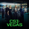 Télécharger CSI: Vegas, Season 2