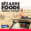Télécharger Bizarre Foods, Vol. 4