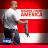 Télécharger Bizarre Foods America, Season 1