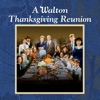 Télécharger A Walton Thanksgiving Reunion