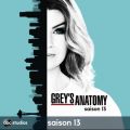 Télécharger Grey's Anatomy, Saison 13 (VF)