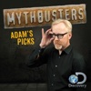 Télécharger MythBusters' Favorites, Adam's Picks
