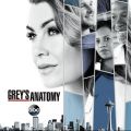 Télécharger Grey's Anatomy, Season 14