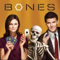 Télécharger Bones, Saison 3 (VF)