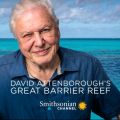 Télécharger David Attenborough's Great Barrier Reef, Season 1
