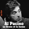 Télécharger Al Pacino - Le Bronx et la fureur