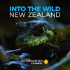 Télécharger Into the Wild New Zealand, Season 1