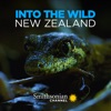 Télécharger Into the Wild New Zealand, Season 1