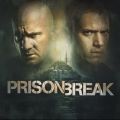 Télécharger Prison Break, Season 5