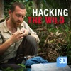 Télécharger Hacking the Wild, Season 1