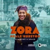 Télécharger Zora Neale Hurston: Claiming a Space