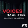 Télécharger Voices Magnified: Locked Up In America