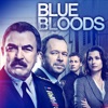 Télécharger Blue Bloods, Saison 9