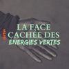 Télécharger La face cachée des énergies vertes