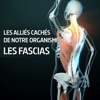 Télécharger Les fascias, alliés cachés de notre organisme