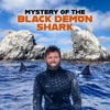 Télécharger Mystery of The Black Demon Shark