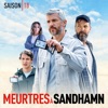 Télécharger Meurtres à Sandhamn, Saison 18 (VOST)