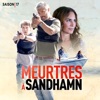 Télécharger Meurtres à Sandhamn, Saison 17 (VOST)