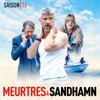 Télécharger Meurtres à Sandhamn, Saison 16 (VOST)