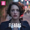 Télécharger Fleabag, Series 1
