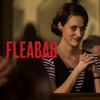 Télécharger Fleabag, Series 2