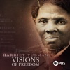 Télécharger Harriet Tubman: Visions of Freedom