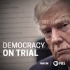 Télécharger Democracy on Trial