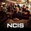 Télécharger NCIS, Saison 19 (VF)