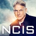 Télécharger NCIS, Saison 16 (VF)
