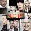 Télécharger NCIS, Saison 15 (VF)