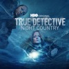 Télécharger True Detective: Night Country, Saison 4 (VF)