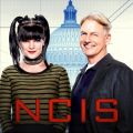 Télécharger NCIS, Saison 14 (VF)