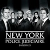 Télécharger NEW YORK Police Judiciaire, Saison 21
