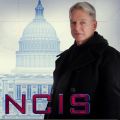 Télécharger NCIS, Saison 13 (VF)