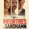 Télécharger Meurtres à Sandhamn, L'intégrale 1 à 19 (VOST)
