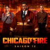 Télécharger Chicago Fire, Saison 12 (VOST)