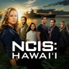 Télécharger NCIS: Hawai'i, Saison 2