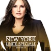 Télécharger New York Unité Spéciale, Saison 23