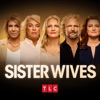 Télécharger Sister Wives, Season 19