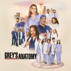 Télécharger Grey's Anatomy, Saison 21 (VOST)