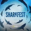 Télécharger Sharkfest 2024