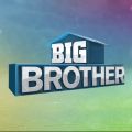Télécharger Big Brother, Season 17