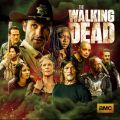 Télécharger The Walking Dead, Complete Series Boxset