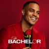 Télécharger The Bachelor, Season 29