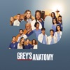 Télécharger Grey's Anatomy, Saison 20 (VF)